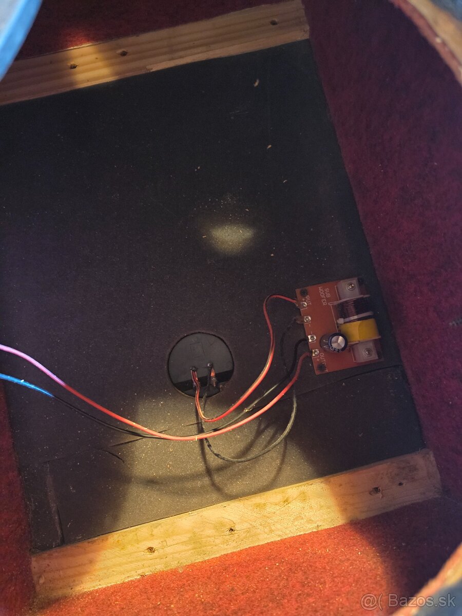 12" Bedne BS Acoustic + RH Sound - 5