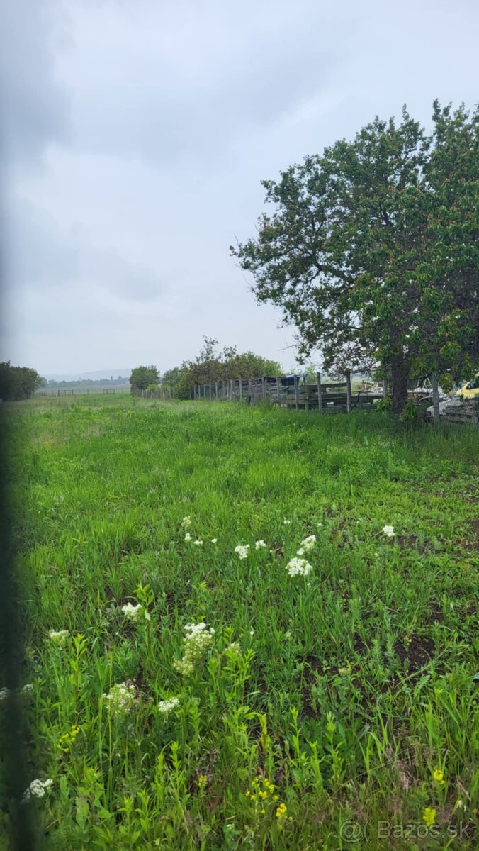 Na predaj investičný pozemok Štúrovo - 5