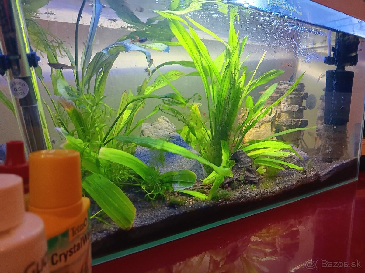 Komplet akvárium - 5