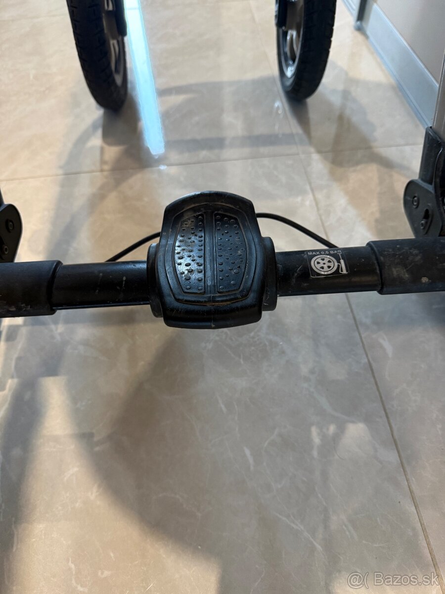 Predam kocik Camarelo - 5