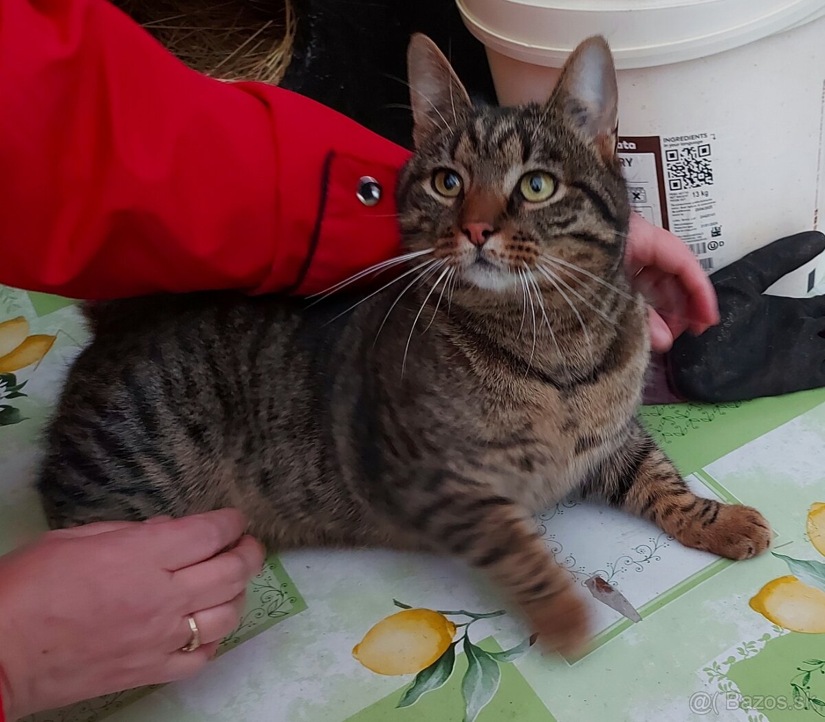 Kryštofko hlada domov - 5