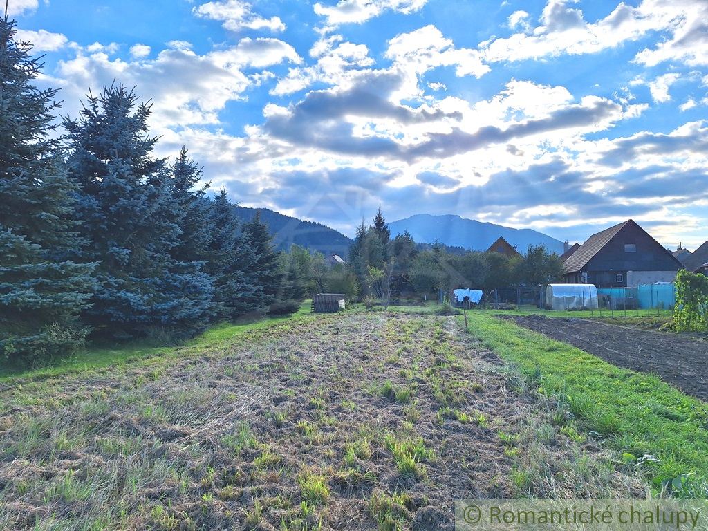 Drevenica medzi Liptovským Mikulášom a Liptovským Hrádkom. - 5