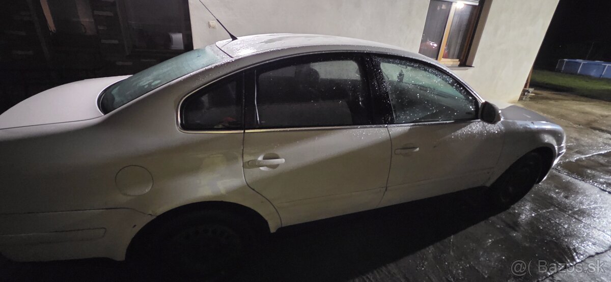 Bieli Passat - 5