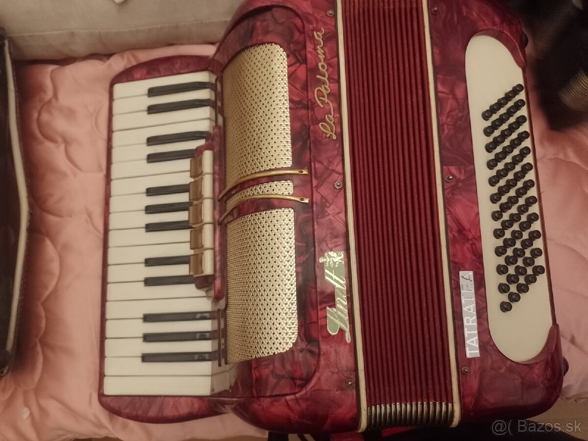 Harmonika akordeón - 5