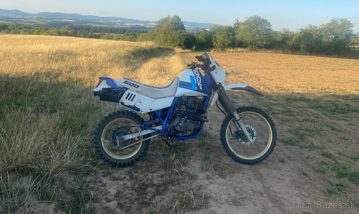 SUZUKI DR 600