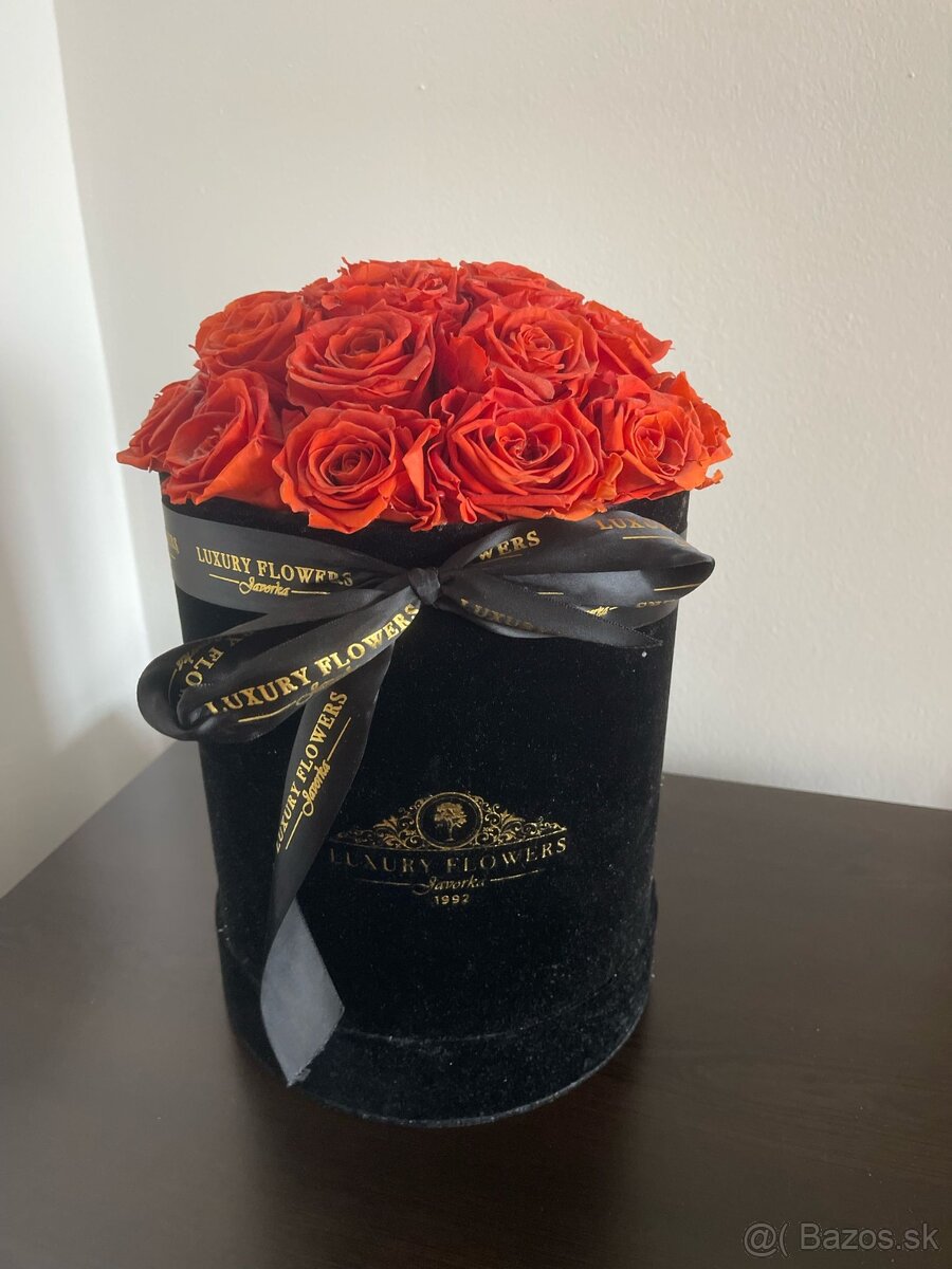Trvácne ruže v boxe 23ks - červená - 5