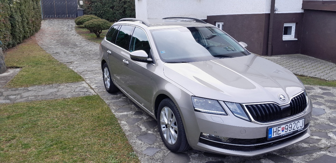 Škoda octavia combi 2.0 tdi 2019 - 5