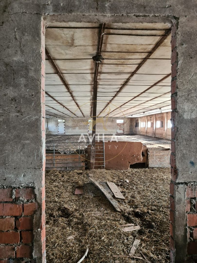 NA PRENÁJOM: veľkometrážna hala 5600m2 - Hrašné - 5