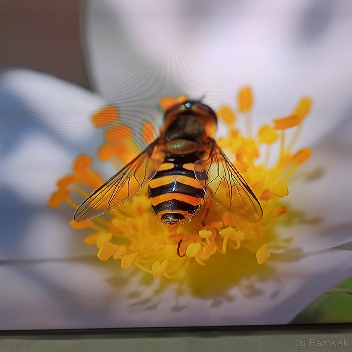 Samsung 4k led lcd tv 50 (127cm) smart - 5