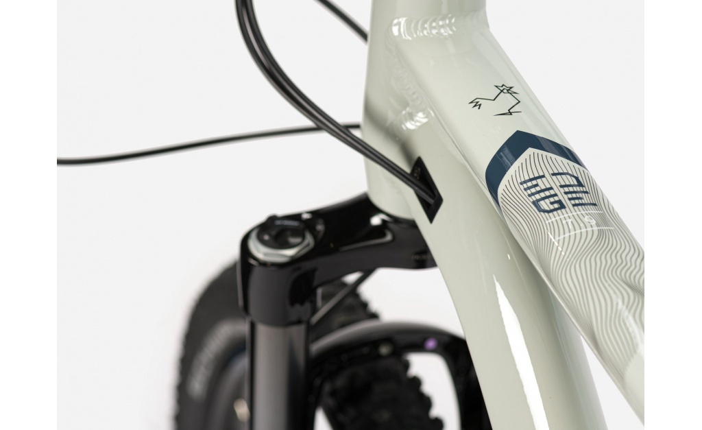 LAPIERRE Edge 7.9 _ 13 - 5