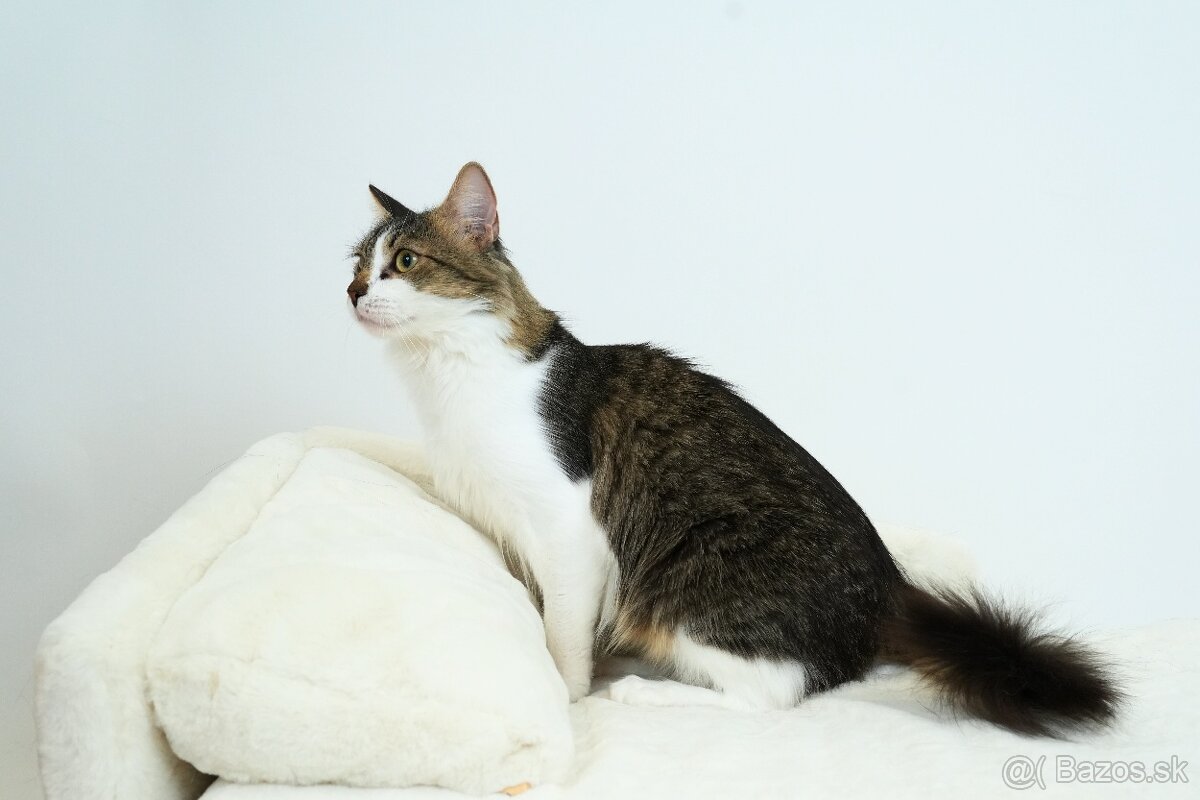 MONTY hľadá domov - 5