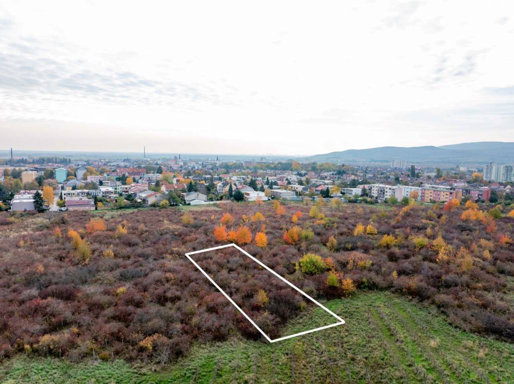 TOREA - BUDÚCI STAVEBNÝ POZEMOK NA PREDAJ - PEZINOK, MUŠKÁT - 5