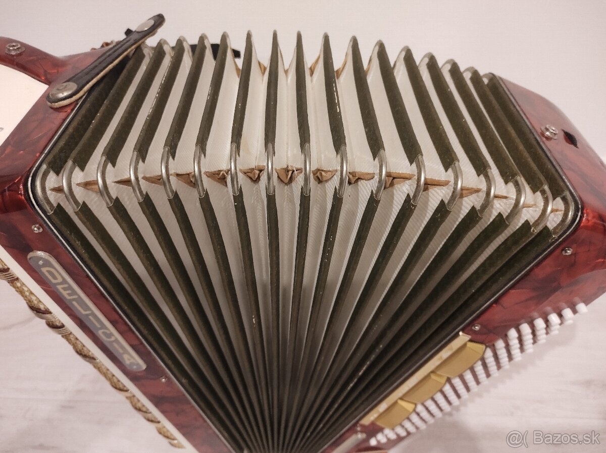 Akordeón Harmonika Delicia melodia VI 96bas - 5