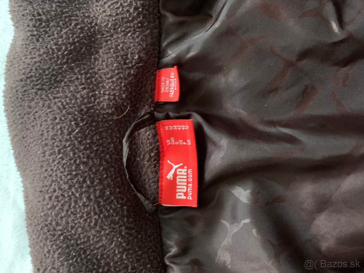 Puma bunda - 5
