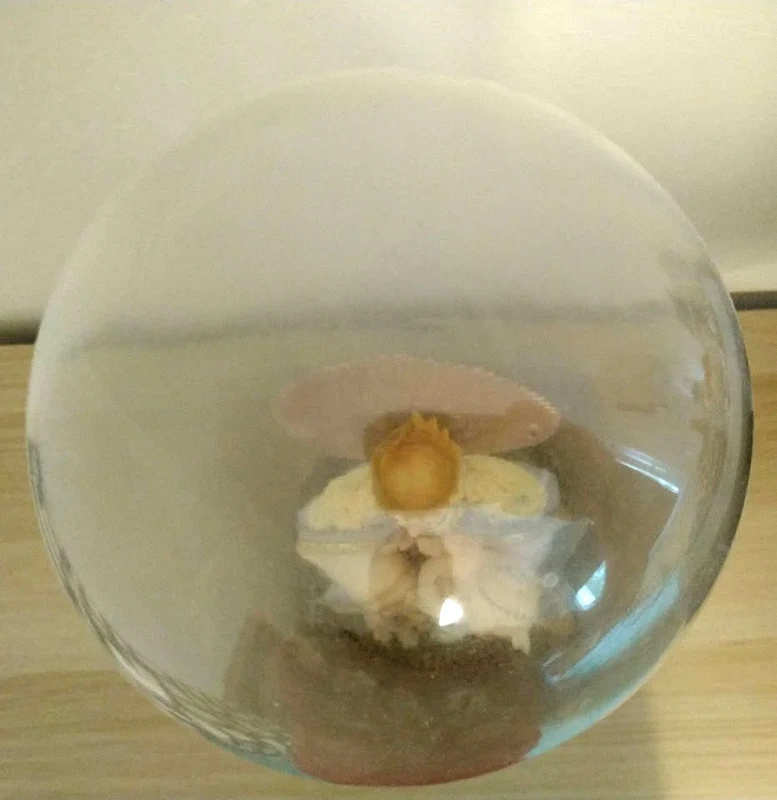 Panna Mária s Ježiškom - 5