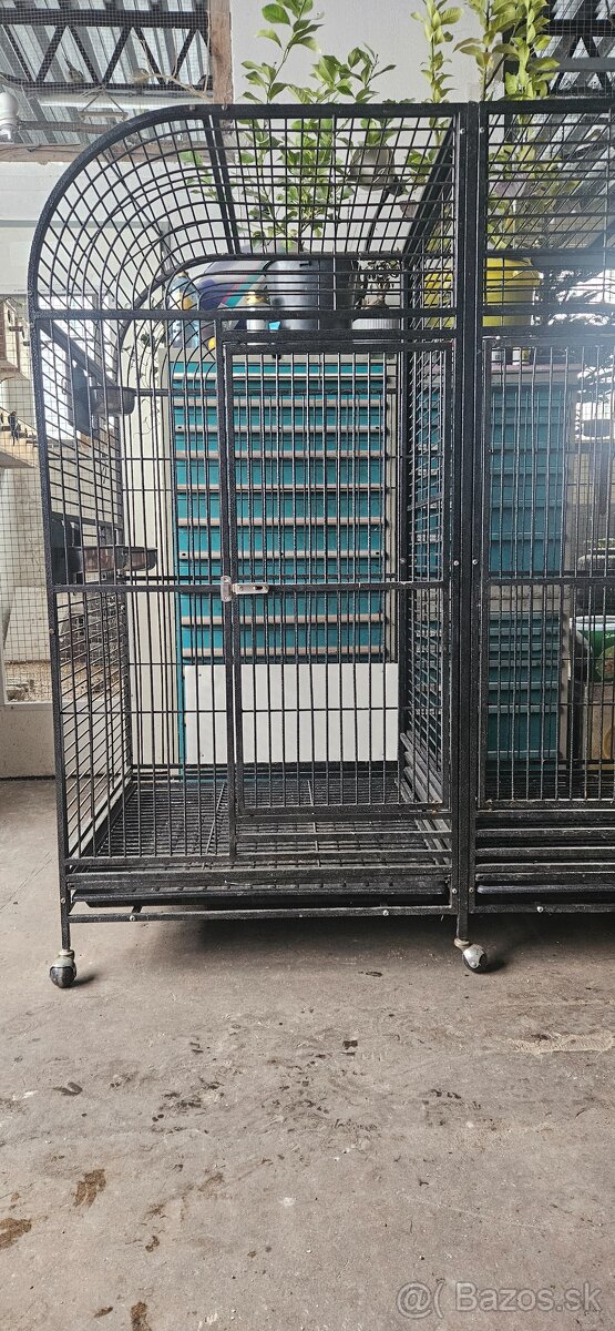 Klietka - 5