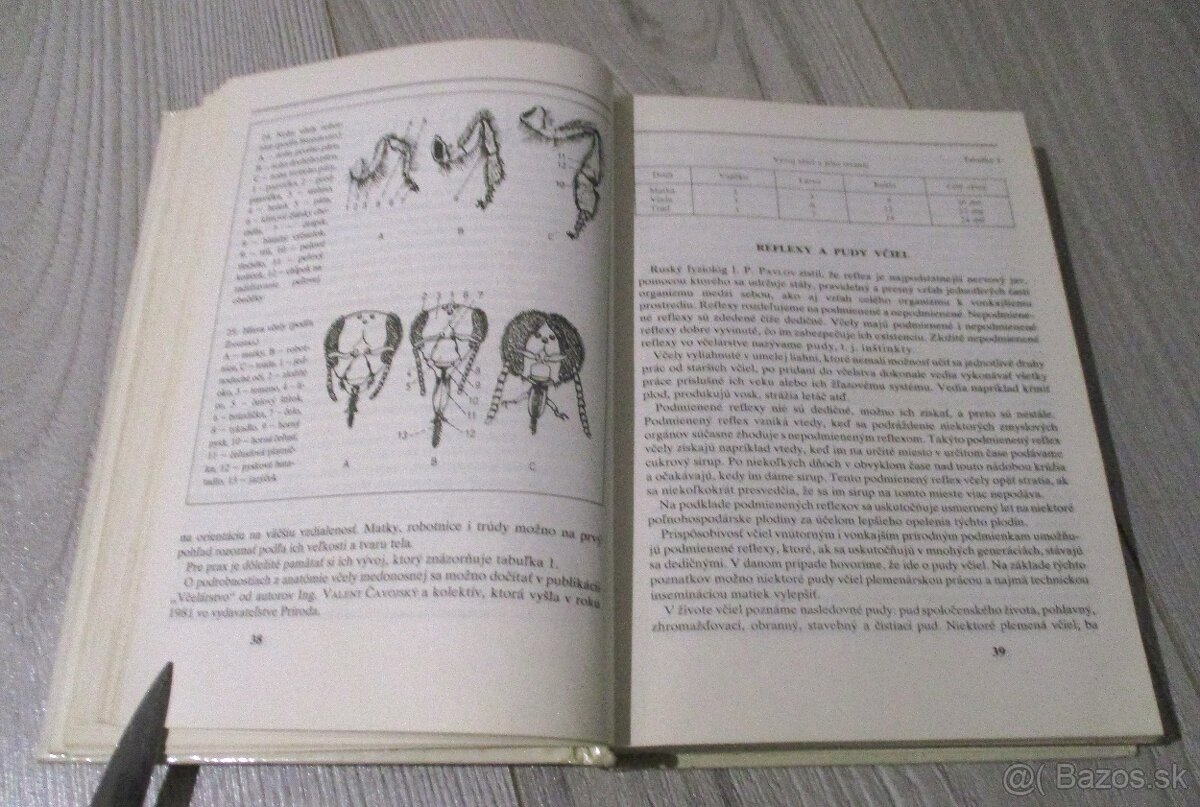 Abeceda včelára - 5