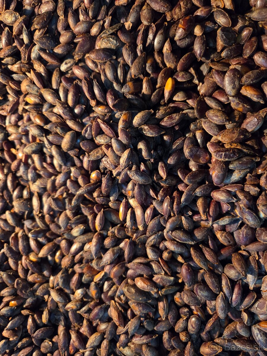 Tekvicové jadierka bezšupkové - 5