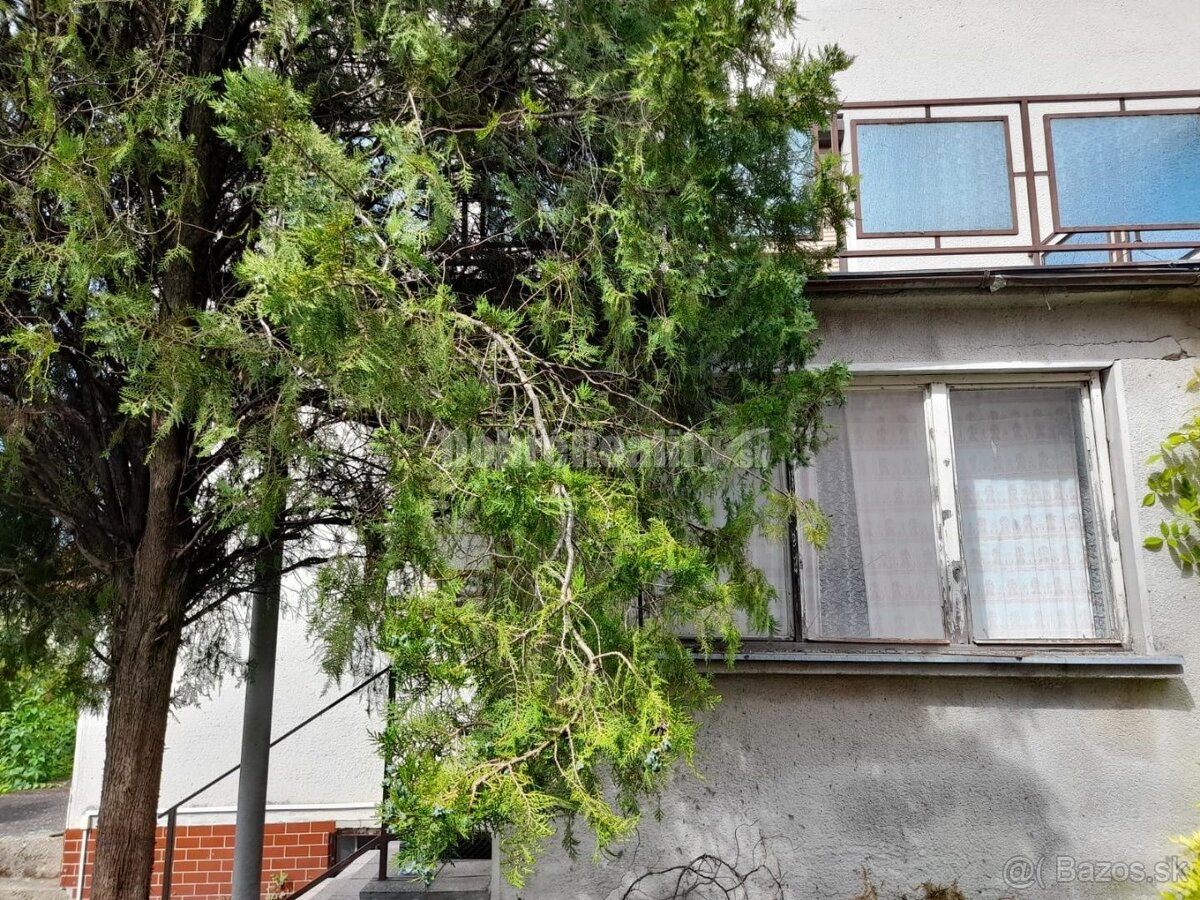 4 izbový dom Dvory nad Žitavou - 5