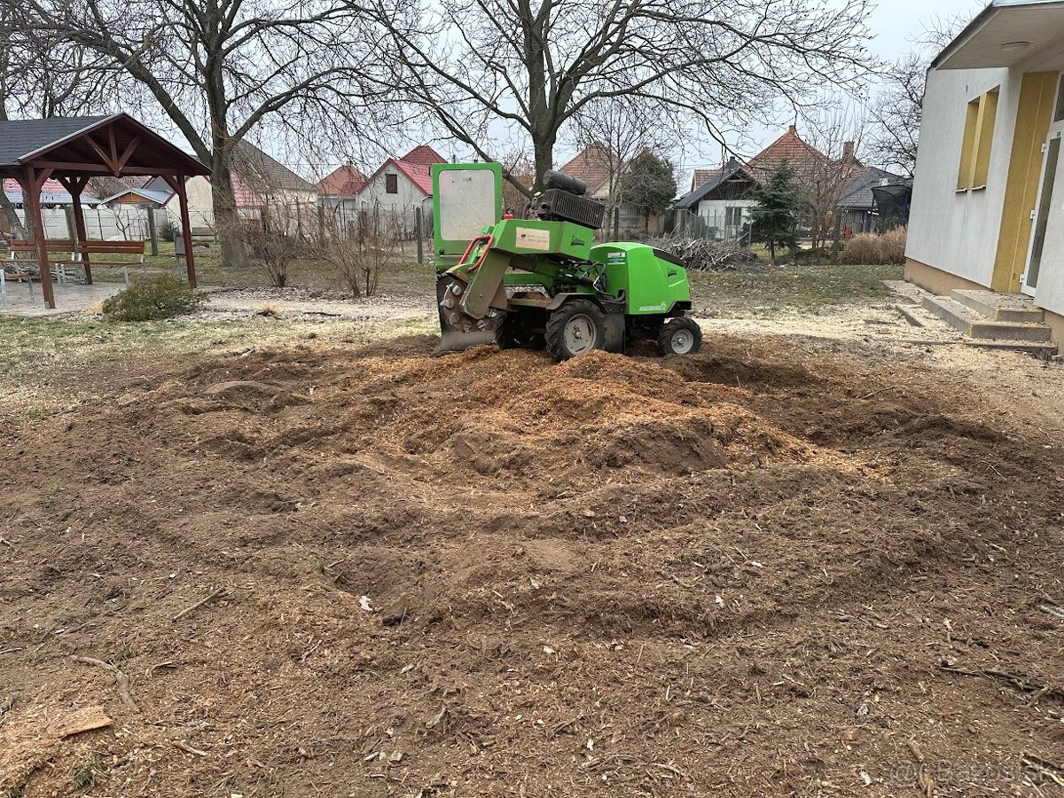 Arboristika, výrub a orez stromov - 5