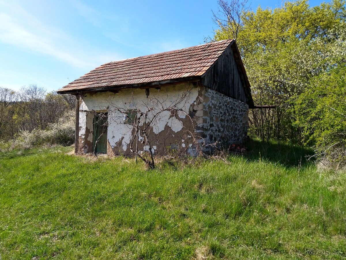 Pozemok - Vinice Čajkov - Sádovské - 5