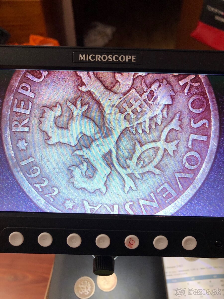 Mince 10 - 5