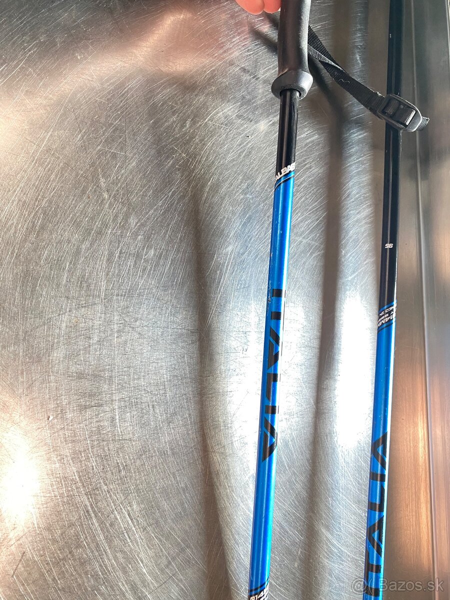 Lyze head lyziarky palice - 5