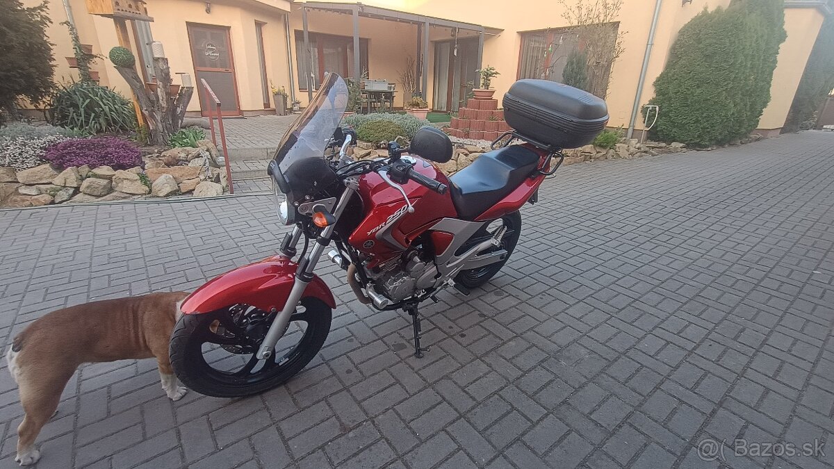 YAMAHA YBR250 - 5
