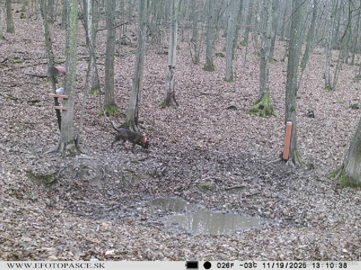 Fotopasca Wettar 7310 2G - 5