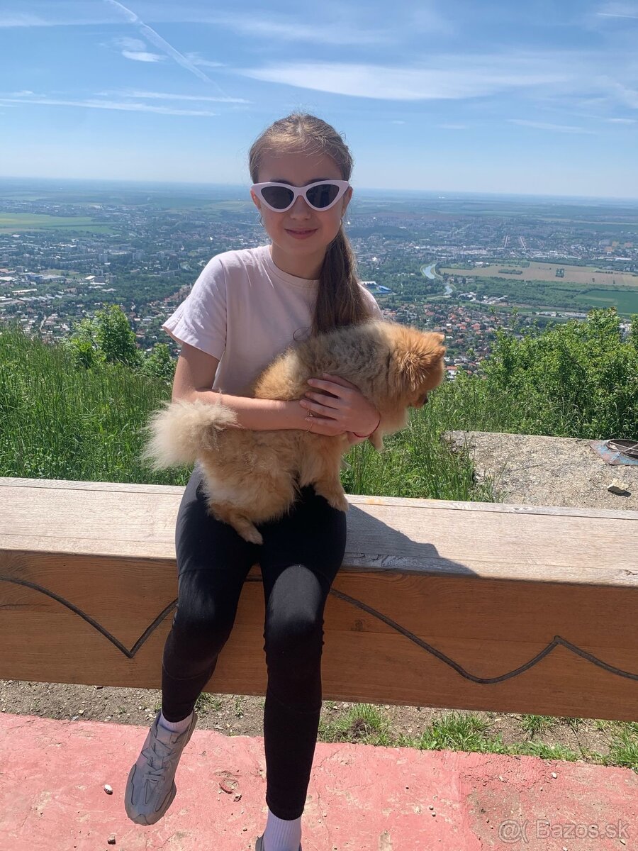 Jedalenska stolička - 5