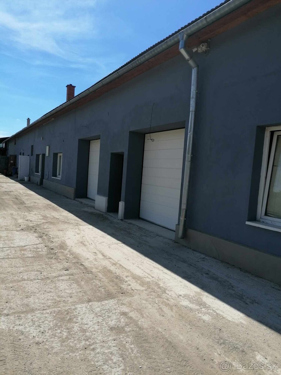 Haly na prenájom - 5