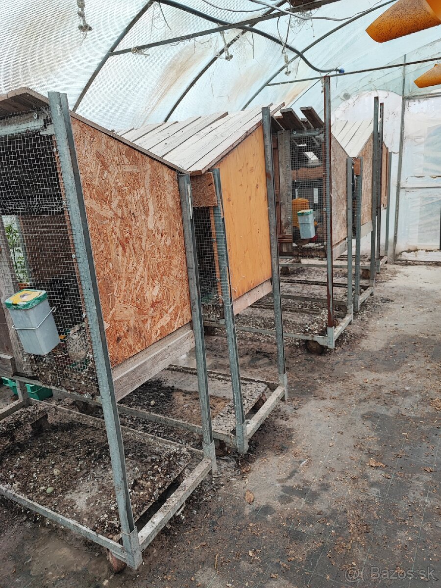 Klietka / voliera - 5