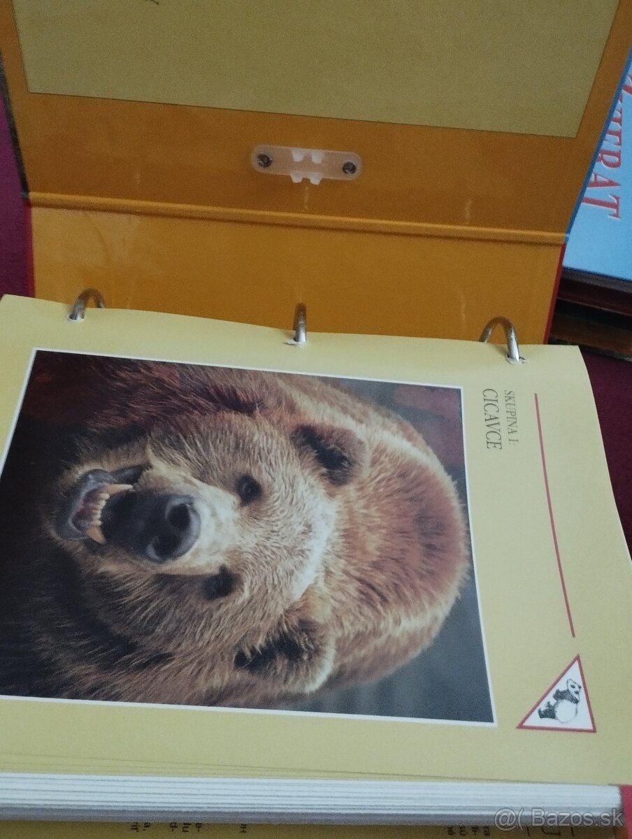 Encyklopédia zvierat - 5