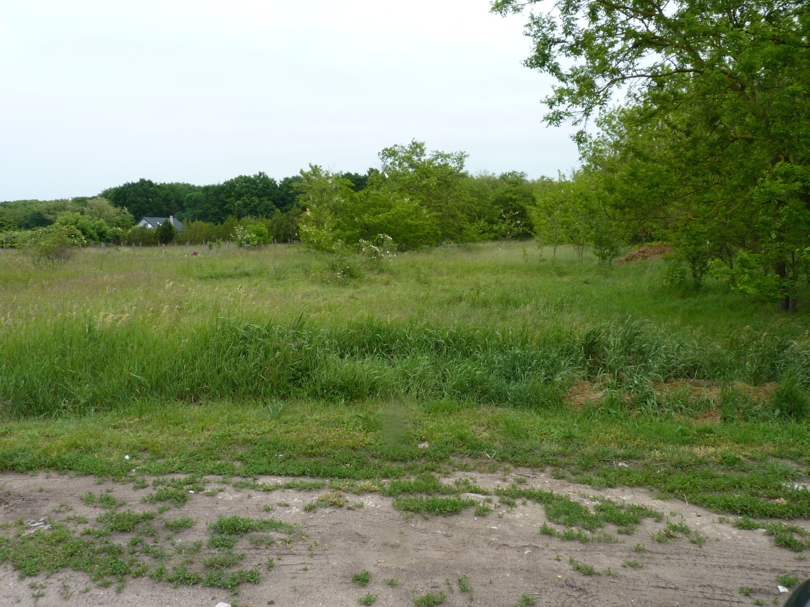 Predaj, pozemok, Marcelová - 5