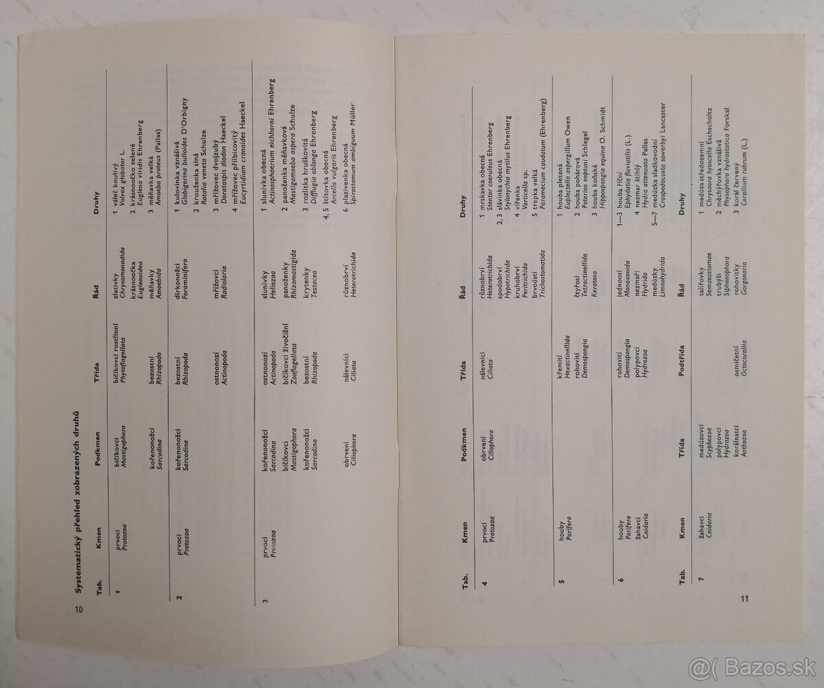 Atlas bezobratlých - 5