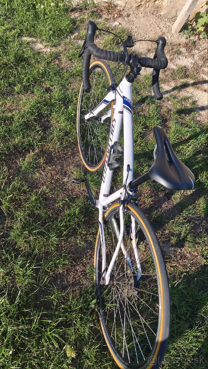 Specialized dolce 44cm - 5