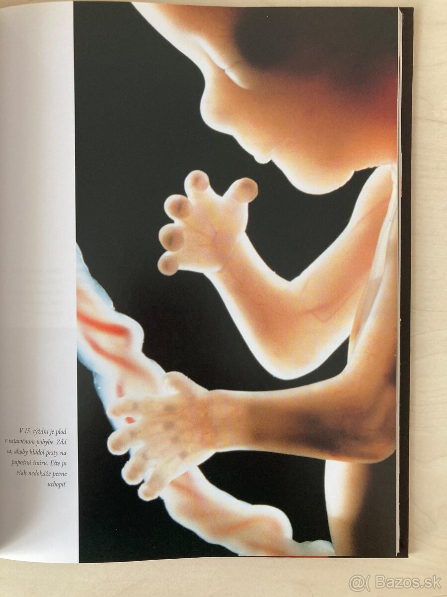 Zazracna cesta do zivota - 5