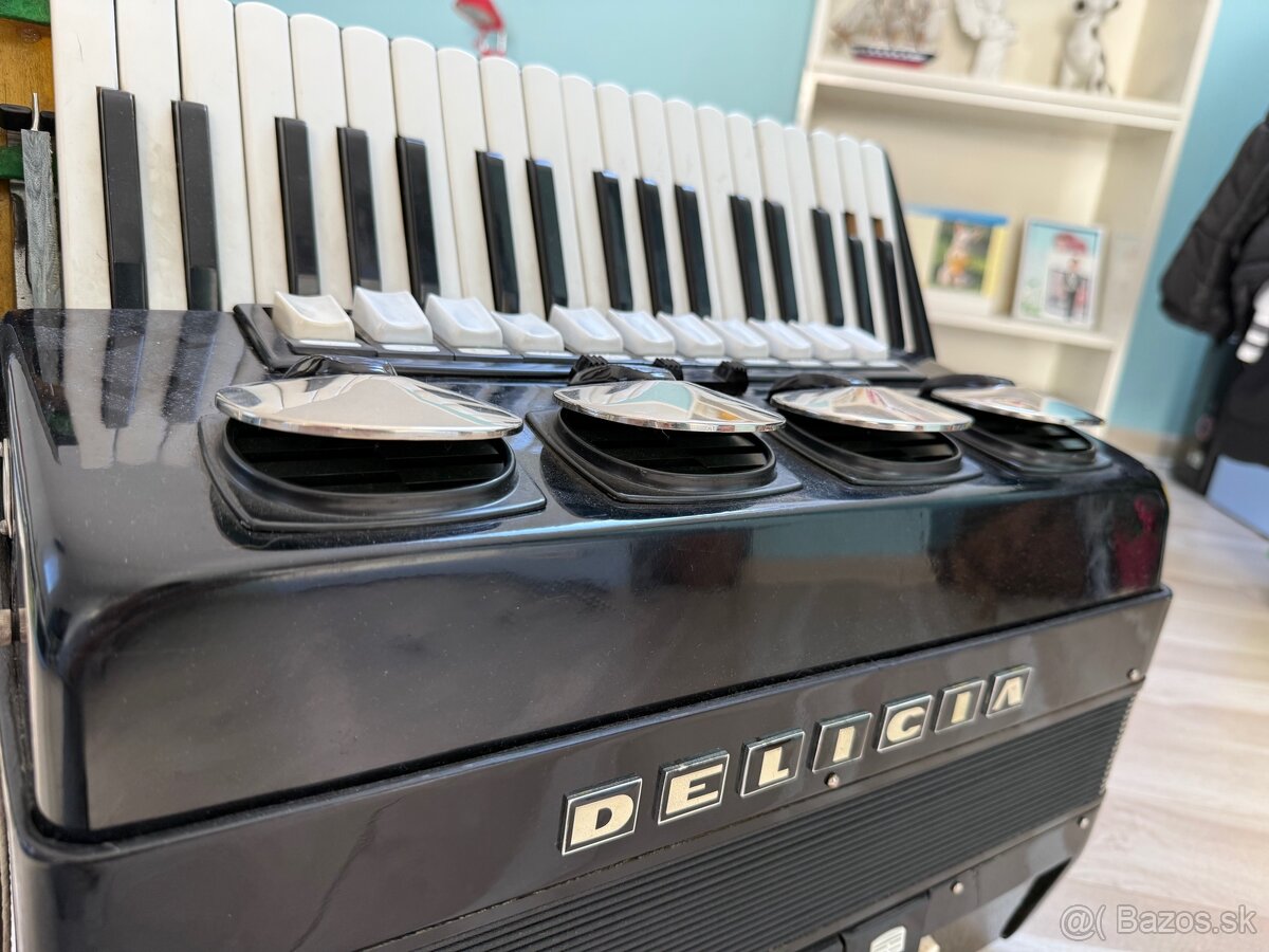 Akordeón Delicia IV - 5