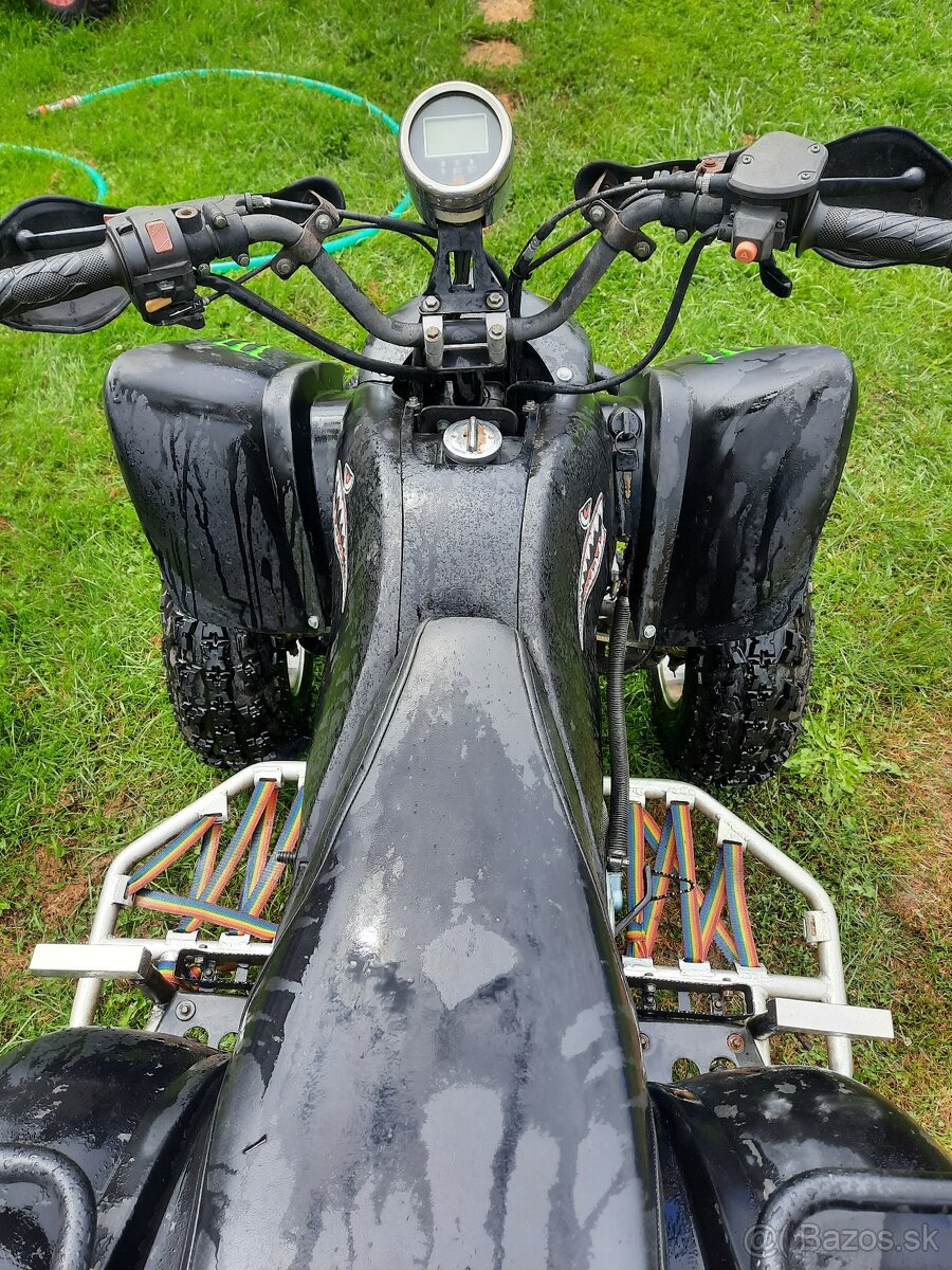 Eagle lyda 203 Tp spz