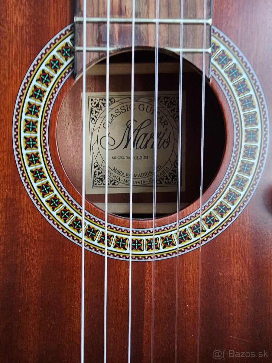 Gitara spanielka Marris - 5