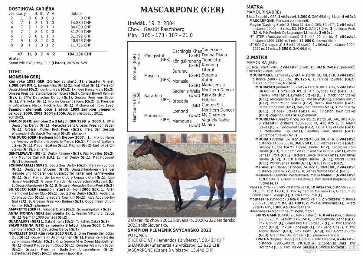 Perspektívna kobyla ST do chovu/športu - 5