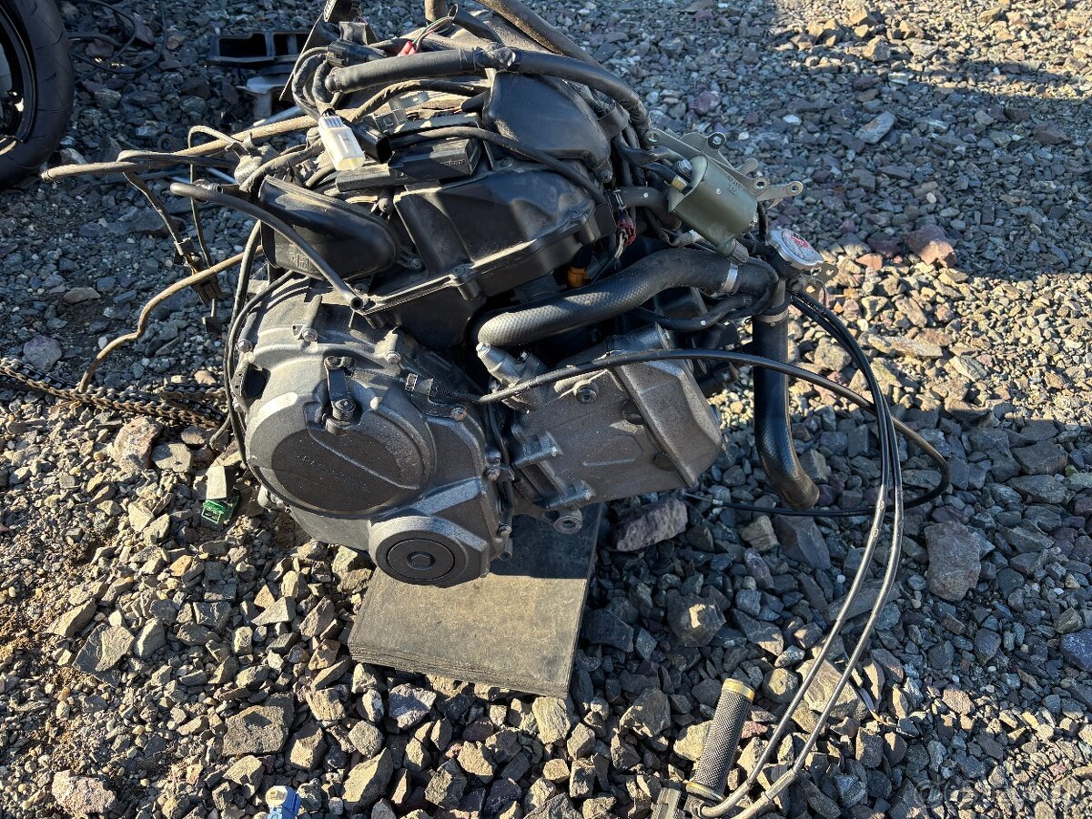 Honda CB600F 2008 PC41-E - 5