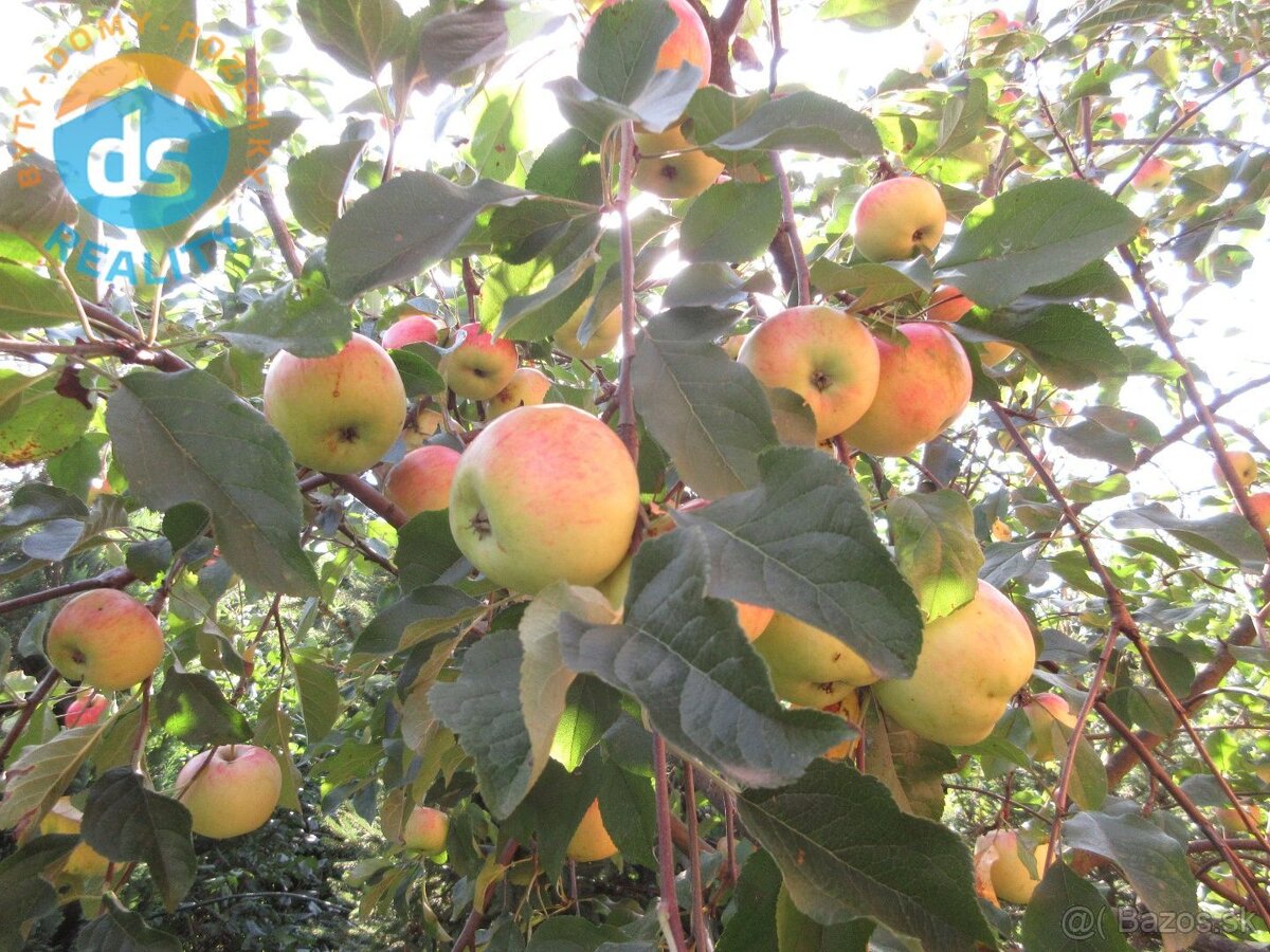 Na predaj pozemok - záhrada 392 m2 s chatkou na relax a rekr - 5