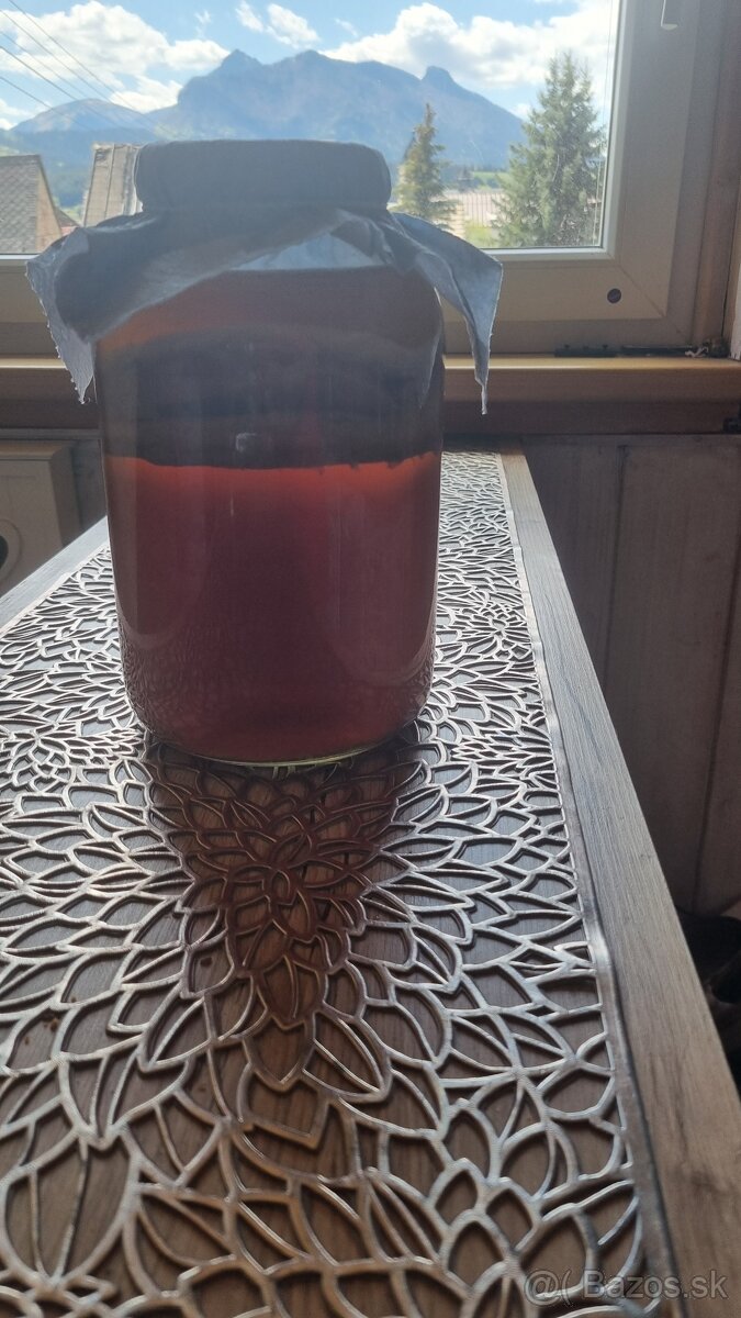 Ponúkam čajovú hubu KOMBUCHU - 5