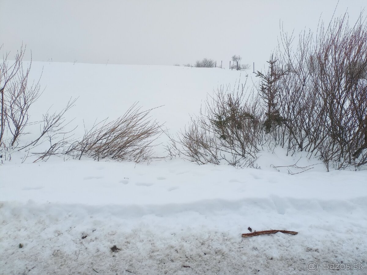 Orná pôda Lokca - 5