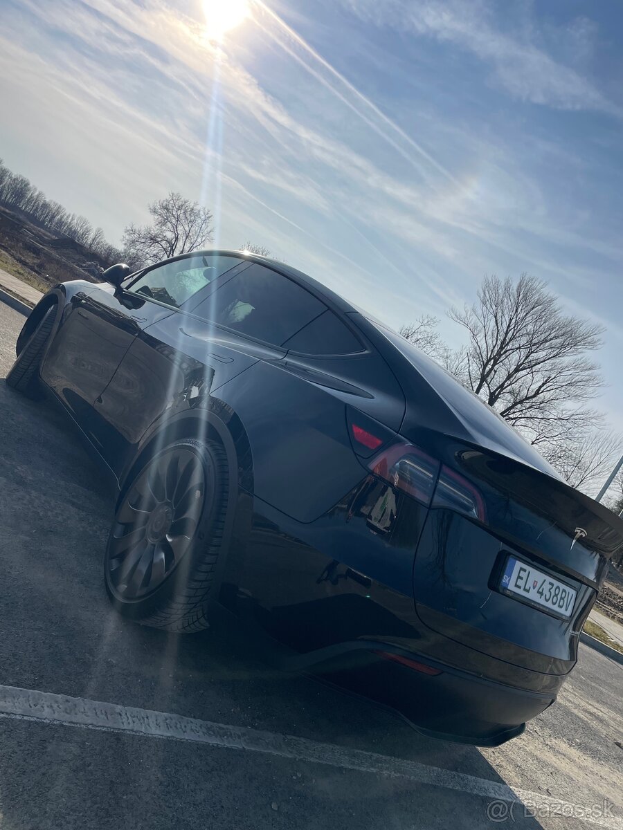 Predam Tesla model Y performance - 5