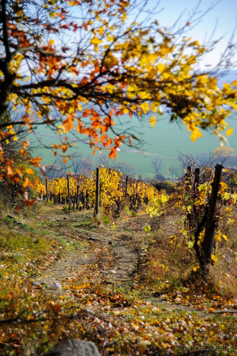 Nikon Nikkor 28-200mm 1: 3.5-5.6G IF - 5