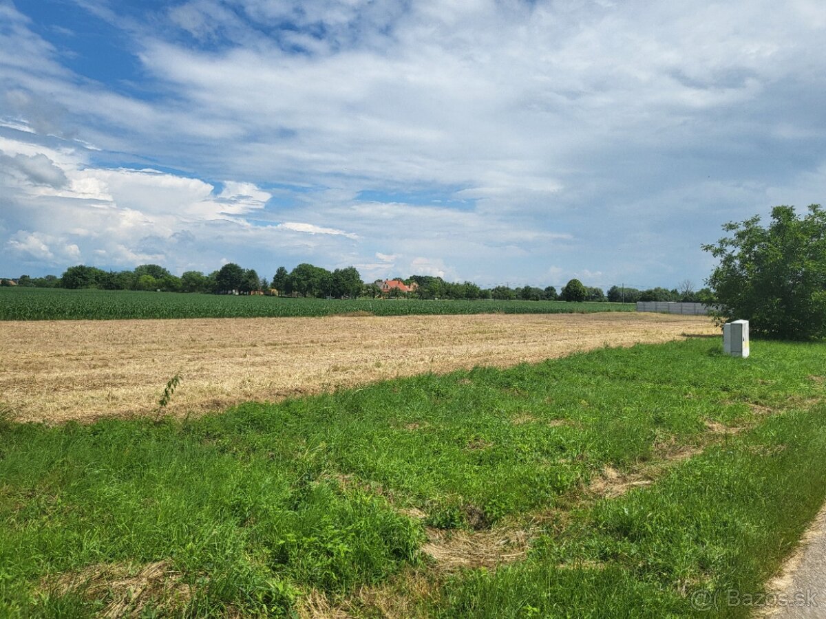 Predám pozemky 2x751m2 a 1x752m2 - 5