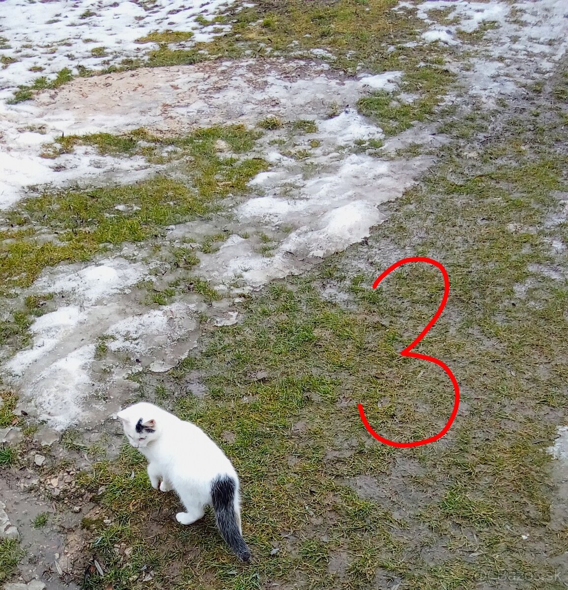 Ajándékozuk - Darujeme - 5