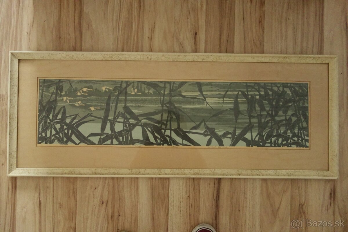 Obraz - Botanský - návrat - 5